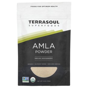 Teasoul Supefoods 테라소울 슈퍼푸드 Amla Powde Indian Goosebey 6 oz 170 g, 170g, 1개