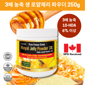 허바 Heba 캐나다 3배 고농축 생로얄젤리 파우더 250g Royal Jelly Powde 3X 250g, 1개