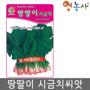 땅딸이 시금치 씨앗 35g 재래종 가을 월동시금치 종자 영농사