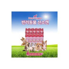 반려동물 산소캔 순수산소95%이상 애완견호흡곤란10캔, 10개