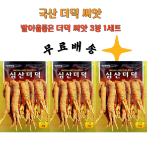 더덕씨앗 3봉1세트 국산더덕종자 한국더덕씨앗 더덕씨