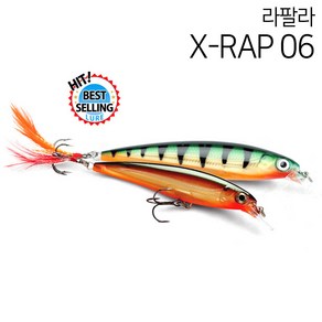 라팔라 엑스랩 쏘가리 미노우 XR06, 공통