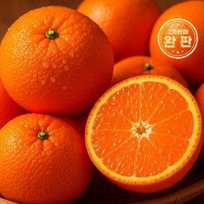 [초고당도] 16브릭스이상 제주 카라향 선물 봄 귤 감귤 제철, 1개, 정품 10kg (로얄과/35-50과내외)