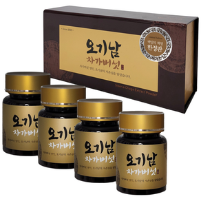 오기남 백일의혁명 차가버섯추출분말 100g, 25g, 4개
