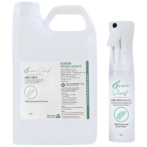 초록향기 피톤치드 스프레이 300ml + 리필 2L 세트, 1개