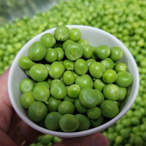 노지 깐완두콩 수작업 500g*3개, 1개, 1.5kg