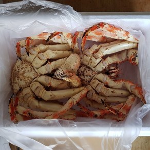 동해항 직수입 러시아 킹크랩 자숙발송 프리미엄 가성비, 1박스, 2kg