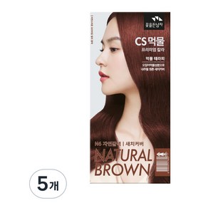 꽃을든남자 CS먹물 프리미엄 헤어 칼라크림, N6(30)자연갈색, 5개