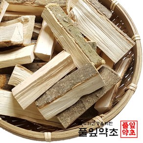 황칠나무 600g 국내산, 1개