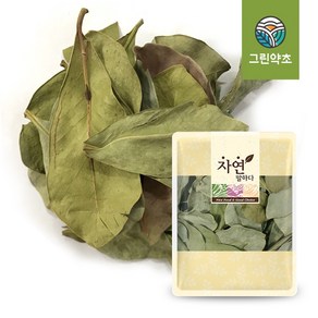 그린약초 국내산 말린 구아바잎 100g, 1개