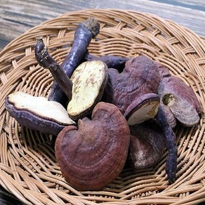 다온약초 자연산 영지버섯, 500g, 1개