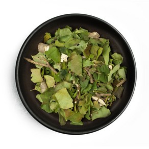 동광종합물산 황칠나무(잎) 국내산 600g, 1개, 1개