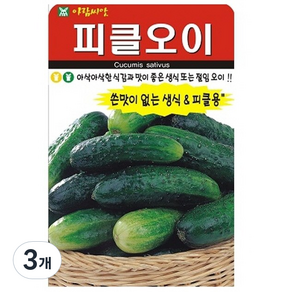 피클오이 씨앗, 3개