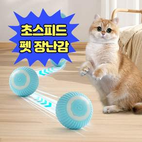 앤트앤비 펫츠 드리블 볼 강아지 고양이 공 장난감, 스카이블루, 1개