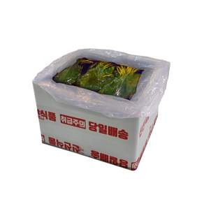 맘씨레 울릉도 국내산 명이나물 장아찌 10kg 5kg 업소용 대용량 미슐랭공급사