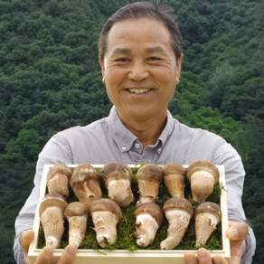 다울농장 국내산 참송이버섯, 500g, 1개