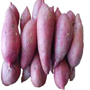 24년 햇고구마 해남 꿀 밤고구마 베니하루카, 1박스, 꿀밤고구마3kg (중품) 60g-120g