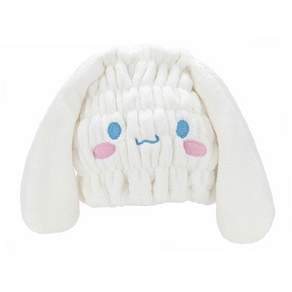 스케이터