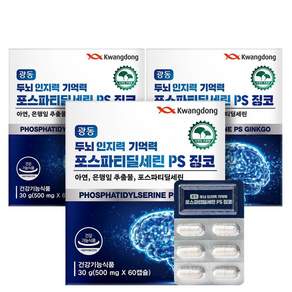 광동 두뇌 인지력 기억력 포스파티딜세린 PS 징코 은행잎 추출물 혈행개선