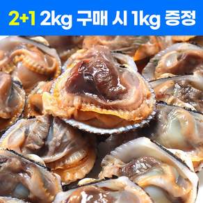 가성비 국내산 새꼬막 산지직송 당일수확 당일발송 3kg 6kg 10kg, 1세트, 2kg+1kg
