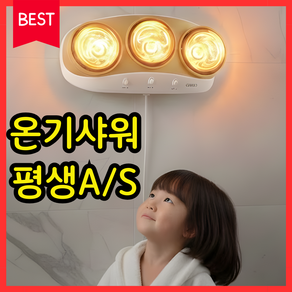 테르톤 프리미엄 3구 욕실히터, DWH-BR7301HS