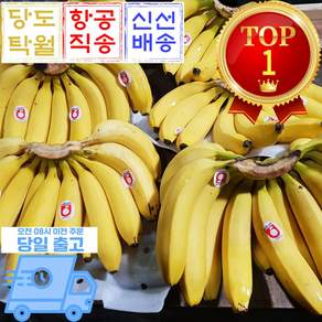 믿고마트 바나나 열대과일 큰바나나, 1박스, (바나나 대과 3송이) 6kg 내외