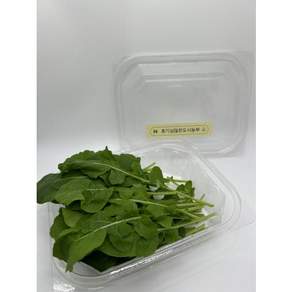 호기심 많은 도시 농부 루꼴라 [원산지:국산(서울특별시 서초구)], 1개, 30g