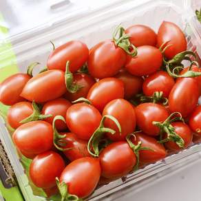 [농장직송] 신선한 대추방울토마토, 1개, 3.0kg 특상(4팩)