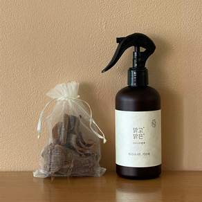 온다숲 계피원액 스프레이 벌레 기피제 + 계피큐브 증정(50g), 2개, 250ml
