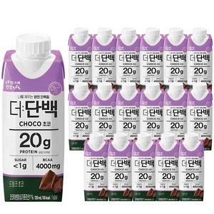 더단백 드링크 초코, 250ml, 18개