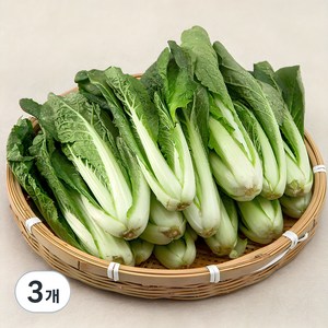 국내산 얼갈이, 1kg, 3개