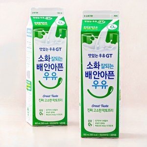 남양유업 맛있는우유GT 소화가 잘되는 고소한 락토프리, 900ml, 2개