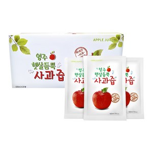 영주햇살듬뿍 사과즙, 100ml, 30개