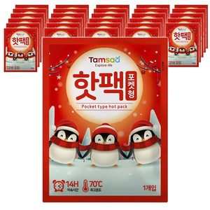 탐사 국내 생산 포켓용 핫팩 90g, 30개