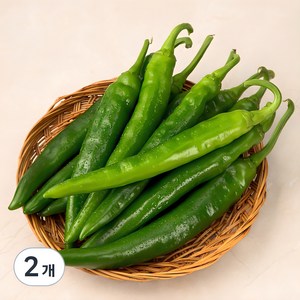 국내산 오이맛 고추, 400g, 2개