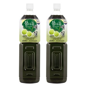 파낙스 참다음 매실, 1.5L, 1500g, 2개