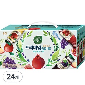 자연은 프리미엄 음료세트, 180ml, 24개