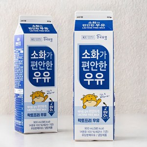 건국유업 소화가 편안한 우유, 900ml, 2입