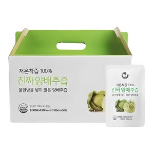 김재식헬스푸드 저온착즙 100% 진짜 양배추즙, 3L, 1개