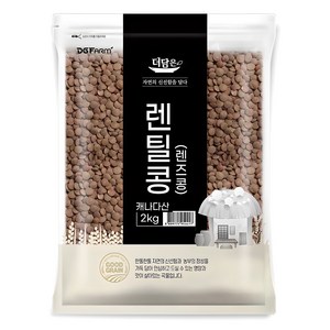 더담은 렌틸콩 렌즈콩, 2kg, 1개