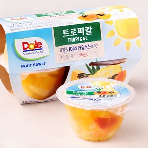 돌 후룻볼 트로피칼, 452g, 1개