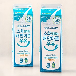 맛있는우유GT 소화 잘되는 배 안아픈 우유, 900ml, 2입