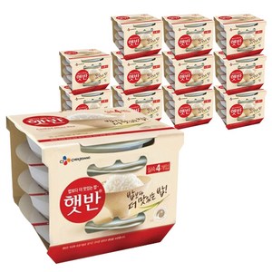 햇반 백미밥, 210g, 48개