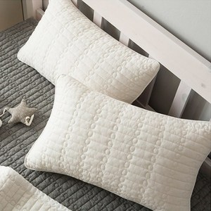 쉬즈홈 베이직피그먼트 베개커버 2p