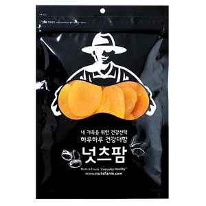 추천10건트