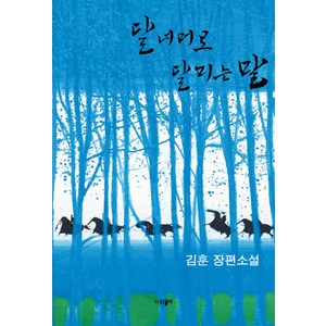 달 너머로 달리는 말(리커버 에디션):김훈 장편소설, 파람북, 김훈