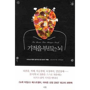 기적을 부르는 뇌:뇌가소성 혁명이 일구어낸 인간 승리의 기록들, 지호, 노먼 도이지 저/김미선 역