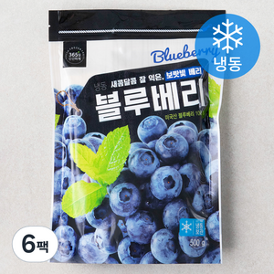 미국산 냉동 블루베리, 500g, 6개