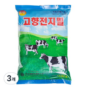 고향 차, 1kg, 3개