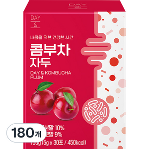 데이앤 콤부차 자두, 5g, 30개입, 6개